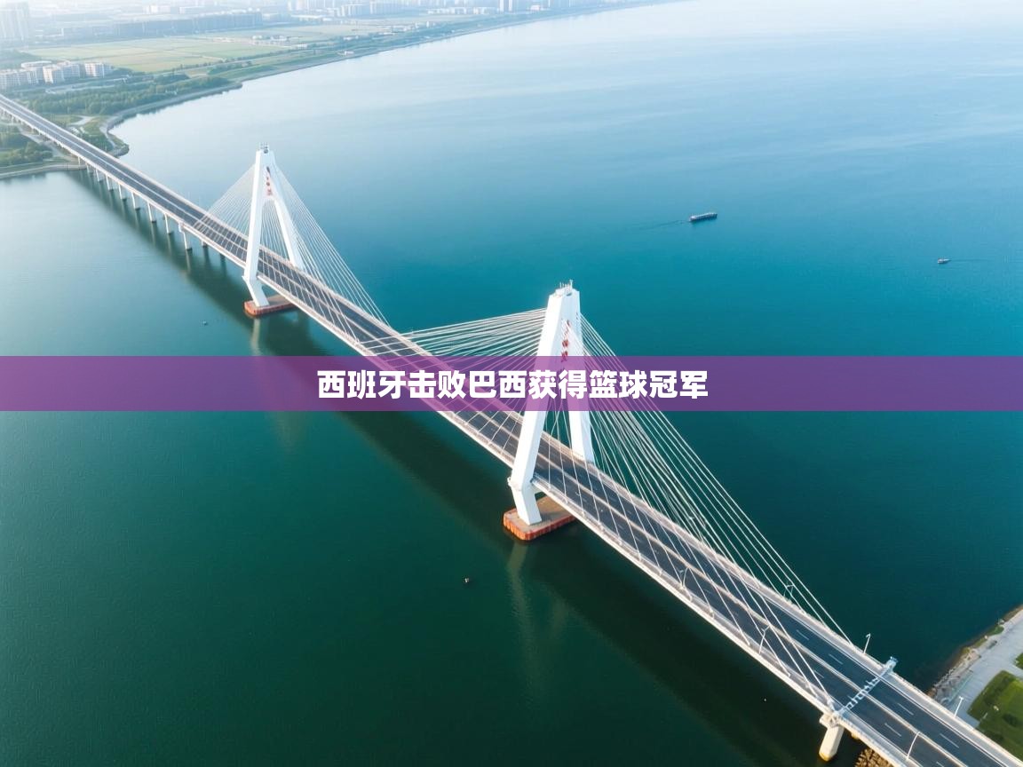 西班牙击败巴西获得篮球冠军  第2张