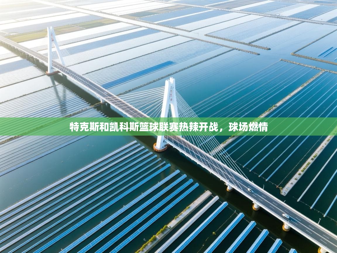 特克斯和凯科斯篮球联赛热辣开战，球场燃情  第1张