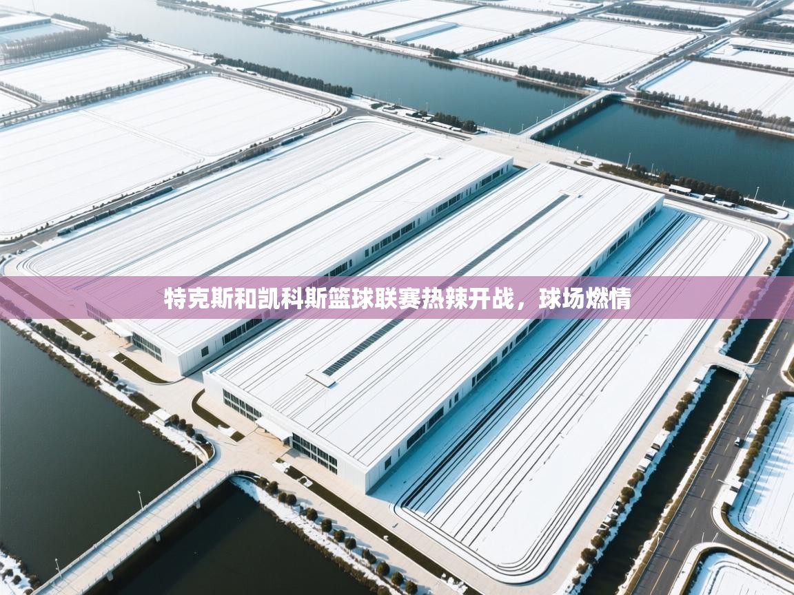 特克斯和凯科斯篮球联赛热辣开战，球场燃情  第2张