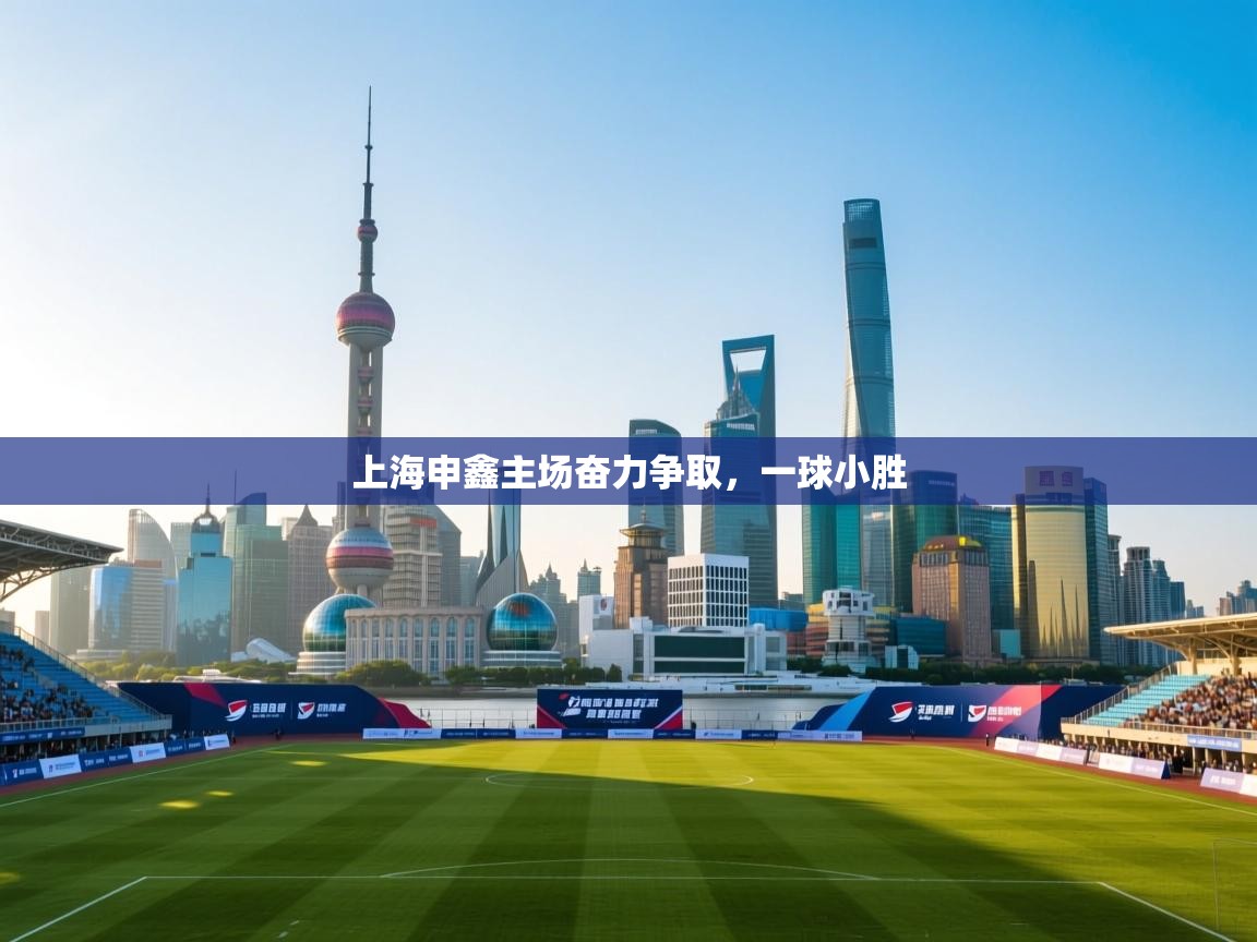 上海申鑫主场奋力争取,一球小胜 第2张